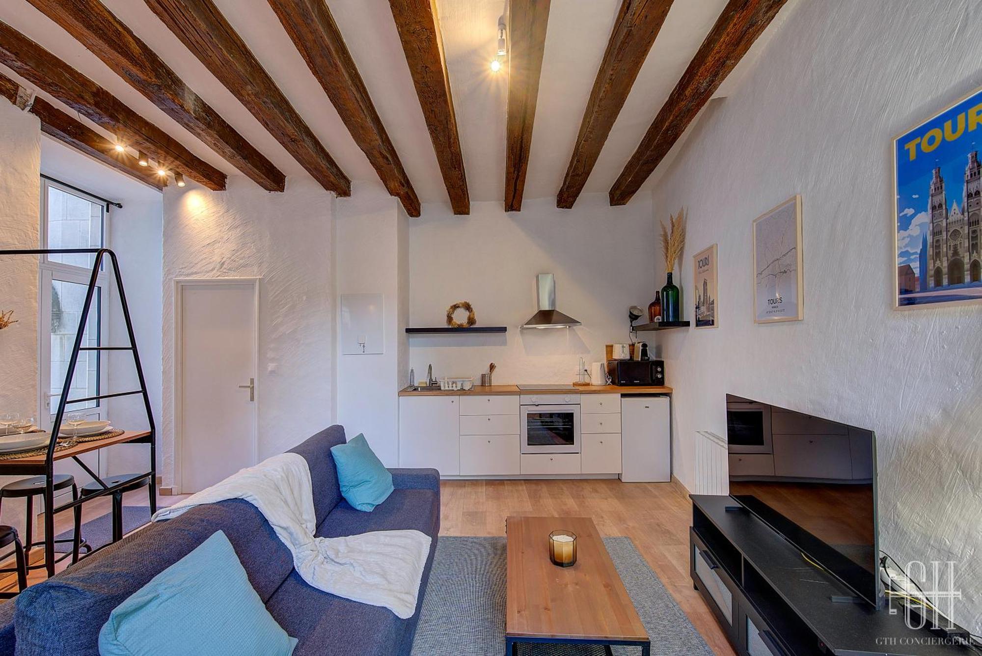 Apartament L'Historique / Basilique St Martin Tours Zewnętrze zdjęcie