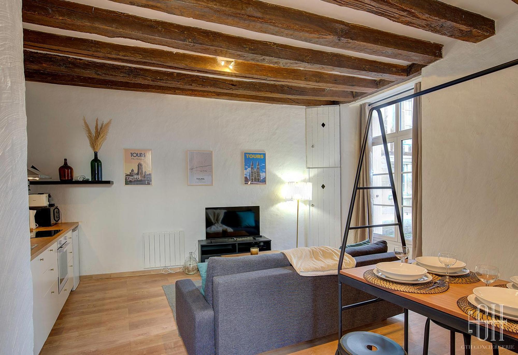 Apartament L'Historique / Basilique St Martin Tours Zewnętrze zdjęcie